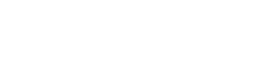 teachforniger.org -